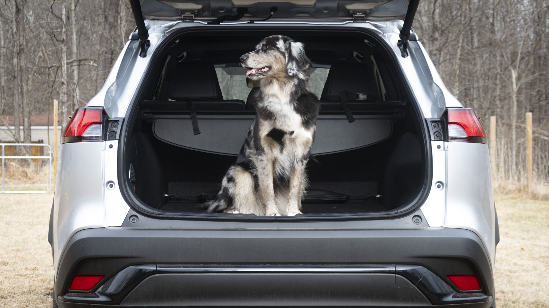 Rear seat space in Toyota Corolla Cross Rear seat area of the Toyota Corolla Cross, demonstrating ample space for passengers and pets.