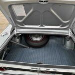 1968 Dodge Charger R/T Hemi Silver Survivor