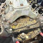 Abandoned 1986 Buick Grand National Rescued After 31 Years in Pennsylvania Garage