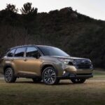 Subaru Forester Hybrid Beats Official Fuel Economy Claims in Real-World AAA Testing